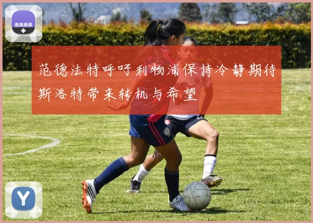 范德法特呼吁利物浦保持冷静期待斯洛特带来转机与希望