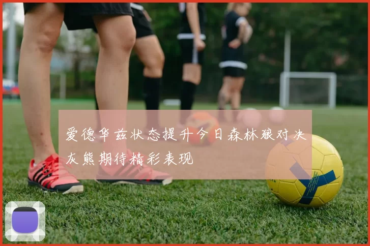 爱德华兹状态提升今日森林狼对决灰熊期待精彩表现